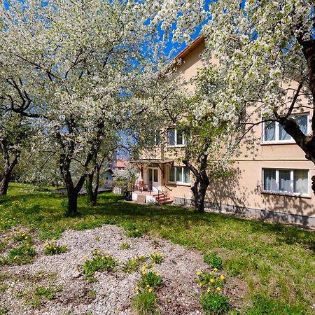 Casa Cu Cires Brasov Apartment Luaran gambar