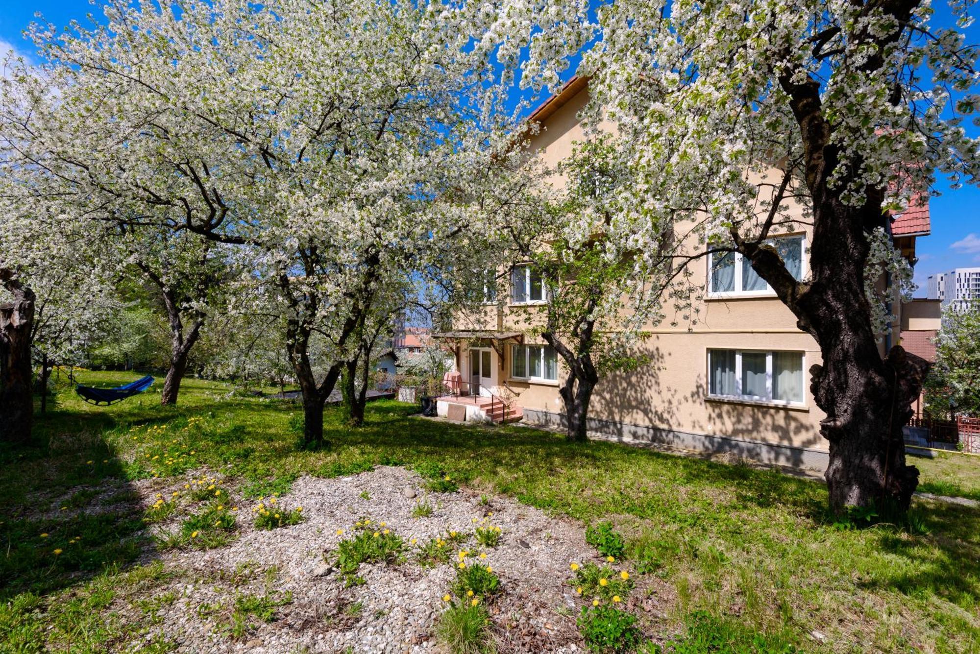Casa Cu Cires Brasov Apartment Luaran gambar