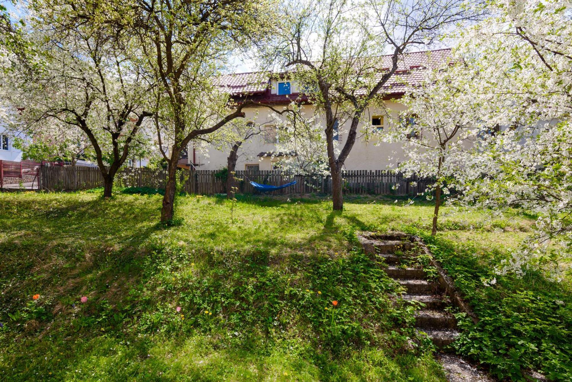 Casa Cu Cires Brasov Apartment Luaran gambar